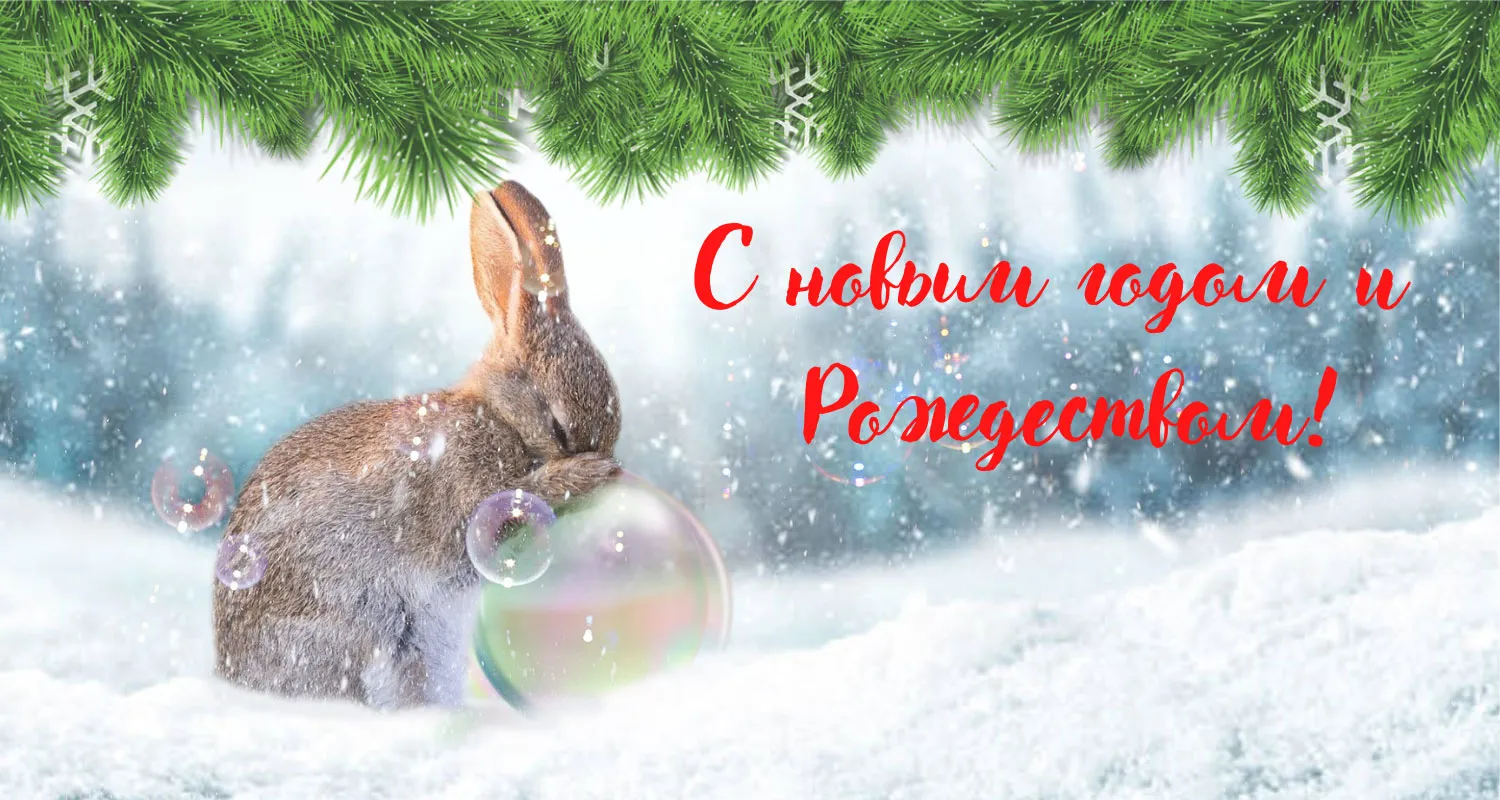 Новогодние поздравления