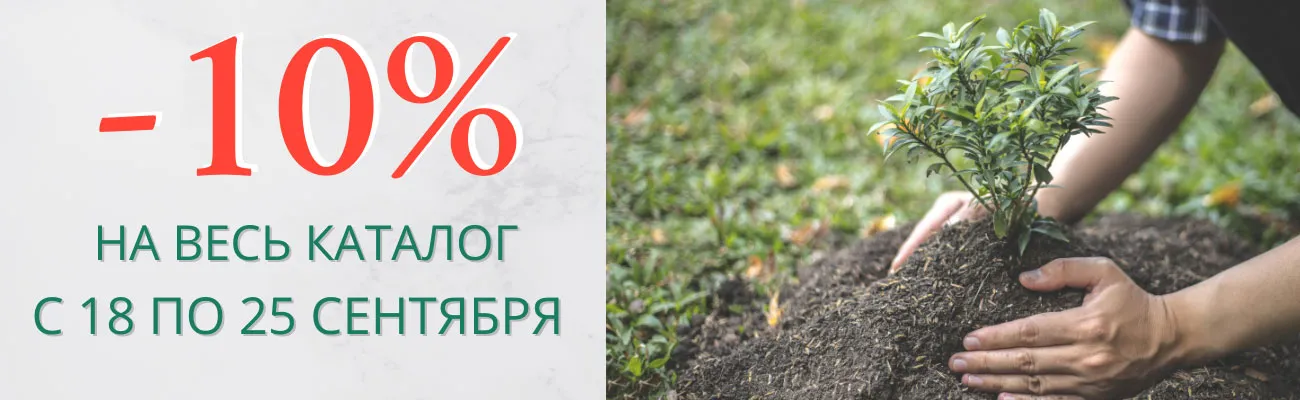 Скидка 10% ко Дню работников леса